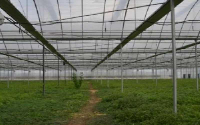 智慧農(nóng)業(yè)園區(qū)監(jiān)測